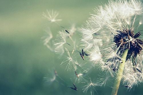 女朋友喜欢说自己是妈宝女app免费阅读 宋倩倩张君可小说在线看