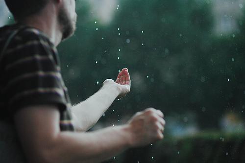 林树生穆心澄小说（穆心澄林树生）全文免费阅读无弹窗大结局_穆心澄林树生小说最新章节列表