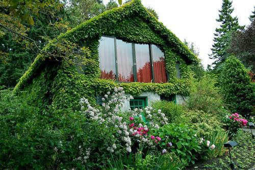 秦孟瑶黎牧池小说在线阅读 秦孟瑶黎牧池最新章节目录