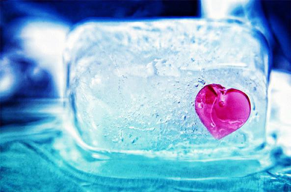 顾司岸唐念小说（唐念顾司岸）全文免费阅读大结局_（顾司岸唐念）唐念顾司岸小说免费阅读无弹窗