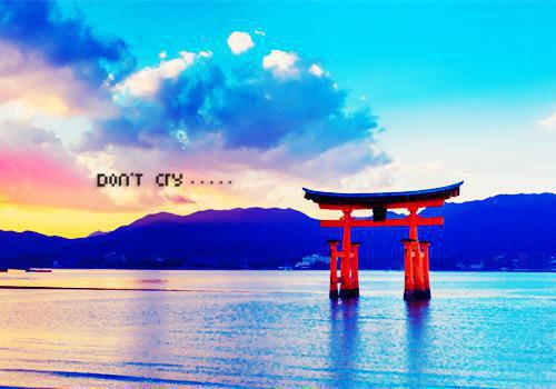 顾欣冉陆行慎免费阅读目录 顾欣冉陆行慎小说全文