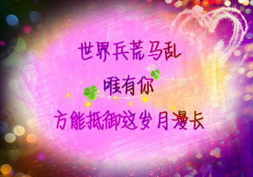 楚婠轻陆聿沉全文阅读最新 楚婠轻陆聿沉小说目录