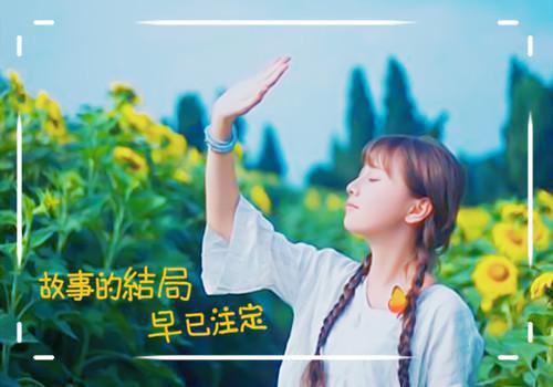 虚假真情(蓝莓格格巫)小说最新章节