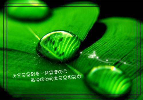 顾墨行宋玲玲李天辰小说名字免费 我归来那天妻子照顾感冒的白月光章节阅读