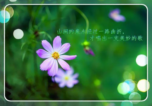 项文州林厌厌小说全文免费阅读 项文州林厌厌最新章节