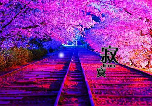 江羡妤张拂行小说章节目录 江羡妤张拂行免费阅读第4章