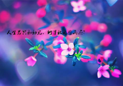 王芸水秀全文免费阅读最新 王芸水秀第3章