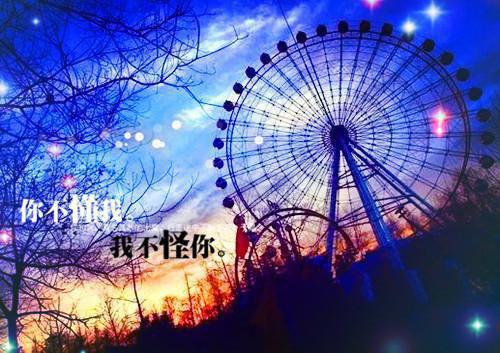 陆从言白月光小说阅读 陆从言白月光全文免费无广告