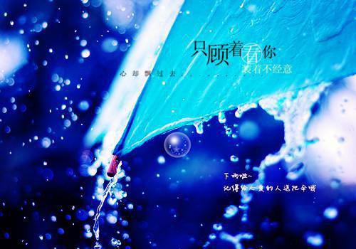 主角苏云卿徐怀博小说 苏云卿徐怀博小说全文免费阅读