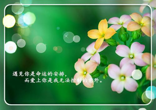 男主叫林巧巧苏远小说 林巧巧苏远高考后续全文免费阅读