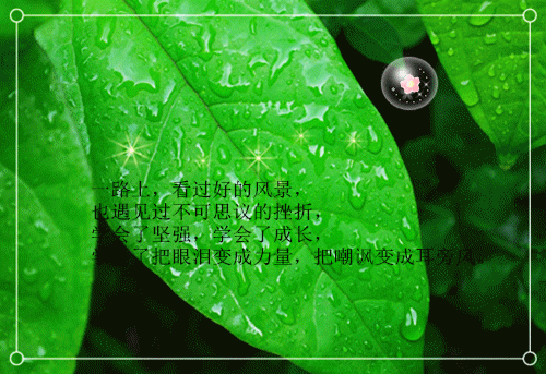 郑云云林小青免费阅读无弹窗 郑云云林小青最新章节