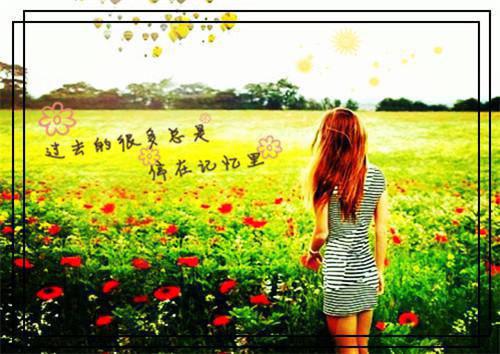 主角是顾铭沈佳的小说免费阅读全文大结局