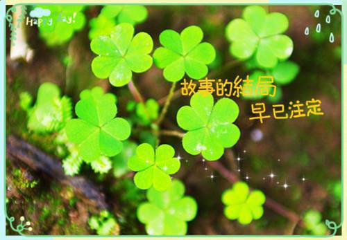 主角是颜西周景泽的小说免费阅读全文大结局