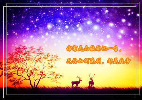 茉茉童童小说全文免费阅读 茉茉童童最新章节