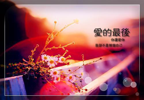 小说栓Q要命夫人又被国家借走了完整版在线阅读凤酒精选小说推荐试读