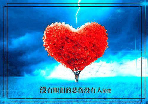 陆景辰苏婉若（苏婉若陆景辰）免费小说 苏婉若陆景辰（陆景辰苏婉若）最新章节完整版阅读