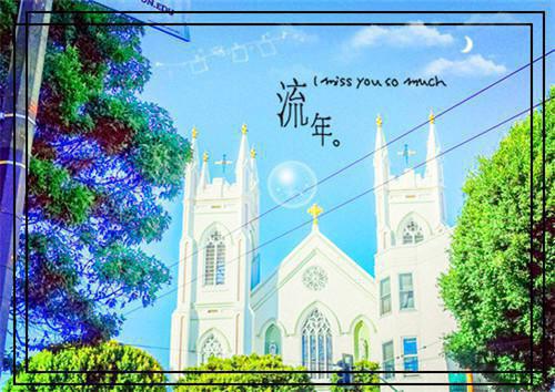 心碎追击顾言尘知知大结局小说全本阅读