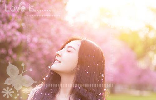 宋挽棠傅寒川免费小说 宋挽棠傅寒川全文无弹窗完整版阅读