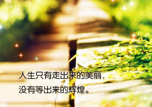 丫鬟的命也是命全文阅读 三丰景文小说大结局