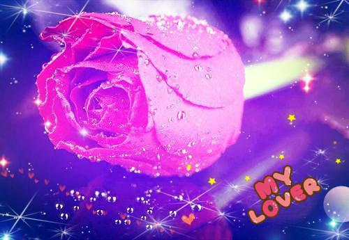 许思思林申陈昭免费小说 许思思林申陈昭全文阅读目录