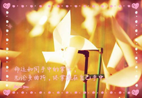 宋明姝白柔柔周松梧小说阅读 宋明姝白柔柔周松梧全文免费无广告