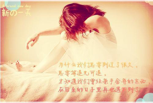 林清婉免费全文 林清婉小说在线阅读