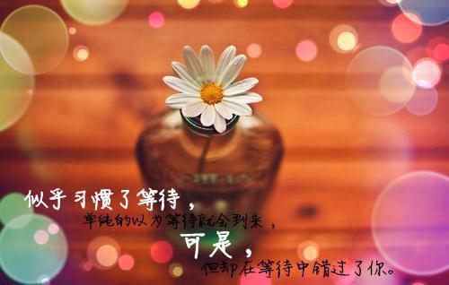 往事情深终成空小说全文 沈惑胡穗陈枝无删减无弹窗阅读