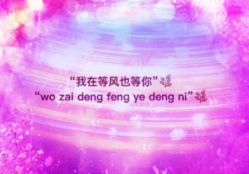 陆莹赵子宁无弹窗 闺蜜她人淡如菊陆莹赵子宁全文免费阅读