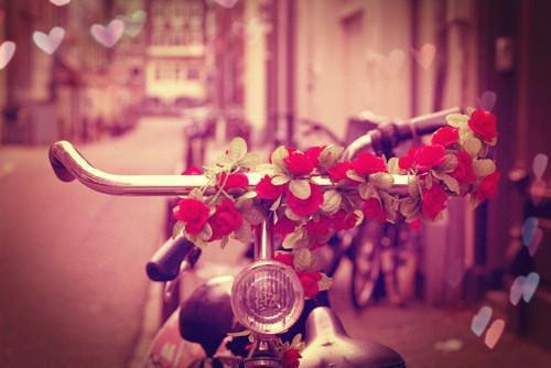 方慧敏周楚尧小说目录 方慧敏周楚尧完整免费版阅读