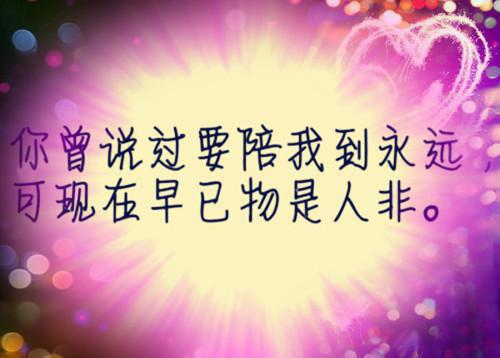 主角是赵乐卿许淮州的小说免费阅读全文大结局