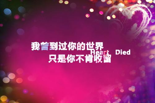 云叶谢衍礼小说在线阅读 云叶谢衍礼最新章节目录