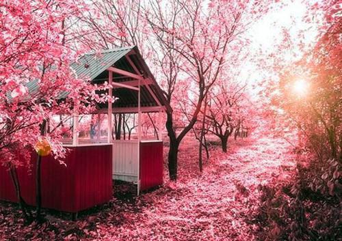 散财老爸得病了首发小说 小暖在线阅读