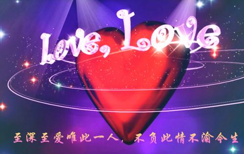 季祈安季芷柔全文阅读最新 季祈安季芷柔小说目录