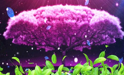 完整版重生后，我让假死丈夫直接入土(慕盈顾兴邦燕宜欣)小说精彩章节手机内免费试读