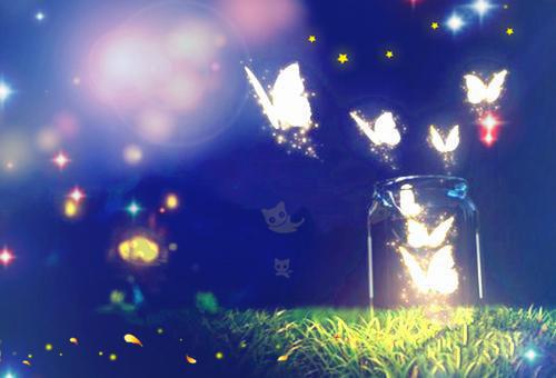 主角岑玥玥沈云胤小说免费阅读最新章节