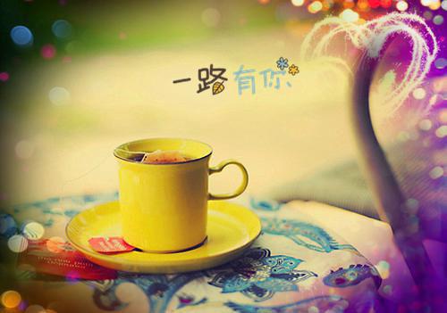 我寻你千百度结局+番外(尹落笙贺清珩）全文免费阅读无弹窗大结局_我寻你千百度结局+番外最新章节列表（我寻你千百度结局+番外）