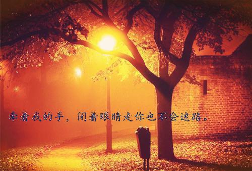 陆小川陆恒之蒋金花小说最新章节 陆小川陆恒之蒋金花免费阅读