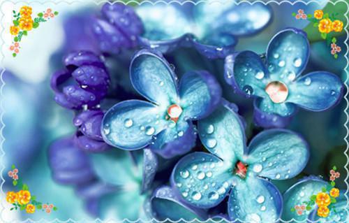 张灵（终极守护）免费全文阅读小说_（张灵）终极守护最新章节列表