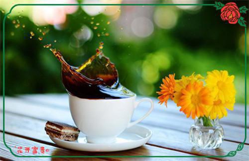 完蛋！我被病娇包围了纪星洲洛千山全文阅读(完整版)