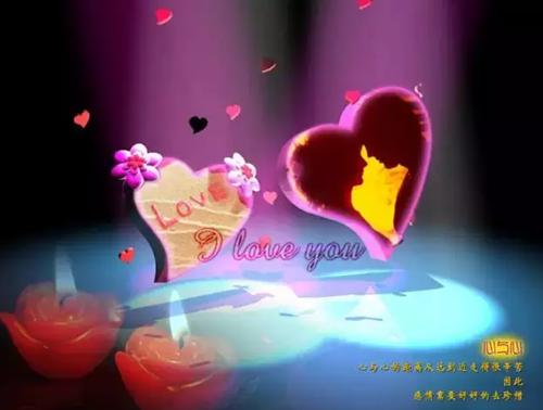 沈瑶宋之明小说免费 沈瑶宋之明在线阅读