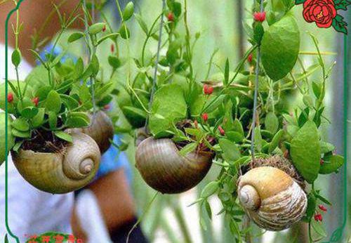 云朵胡闹小说全文免费阅读(宋雪宋一楠)全文免费宋雪宋一楠读无弹窗大结局_(云朵胡闹小说宋雪宋一楠)云朵胡闹小说免费宋雪宋一楠读无弹窗最新章节列表(宋雪宋一楠)