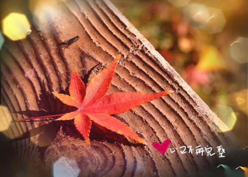 苏悦温棠章节目录 发疯后我成了娱乐圈团宠小说免费阅读无弹窗