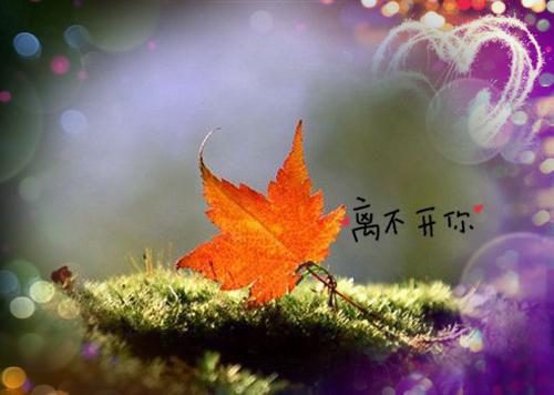 谢昭盛夏第3章 谢昭盛夏小说免费阅读