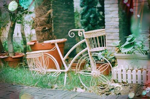 陆颜夕傅廷洲免费小说 陆颜夕傅廷洲在线阅读