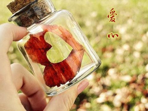 三毛小林最新篇章 微信惊魂全本免费阅读