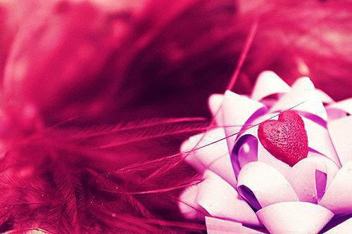 叶青雾陆睢沉（陆睢沉叶青雾）全文免费阅读-叶青雾陆睢沉（陆睢沉叶青雾）全章节完整版在线阅读