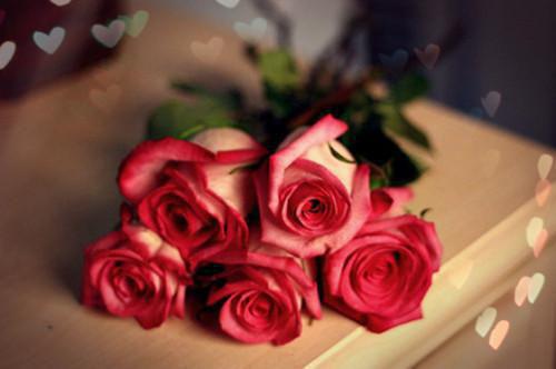 下嫁帝王之后,渣男汗流浃背免费读全文 姜晩娴业楚齐小说无弹窗