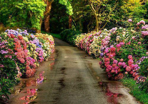 全文浏览极品捡漏（秦悦沈清依）_极品捡漏（秦悦沈清依）全文结局