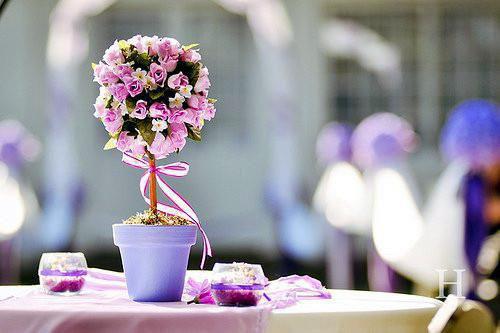 昭涵周真郑舒文是什么小说 昭涵周真郑舒文全本免费阅读