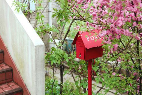 开局帝境宗主，无限合成仙人长老陈玄小说免费阅读-小说推荐开局帝境宗主，无限合成仙人长老陈玄精彩章节在线阅读